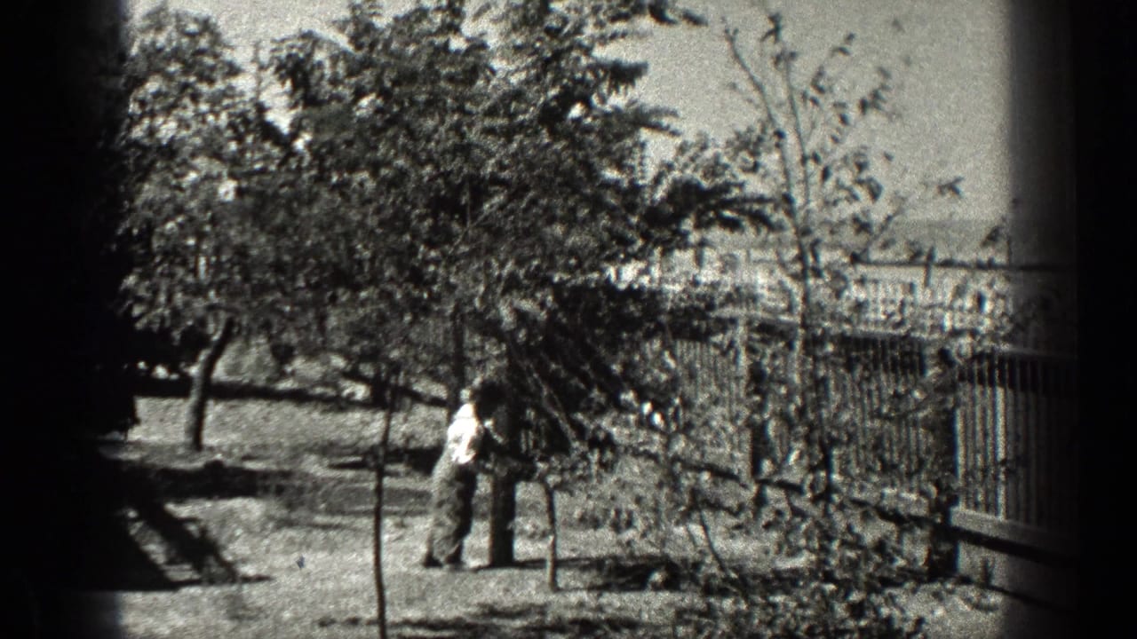 Small figure standing near a tree in a fenced, sunlit yard.