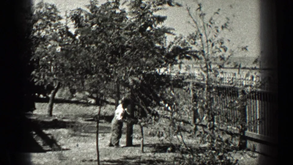 In 1936 California home-movie footage, a small figure stands by a tree in a leafy fenced yard.