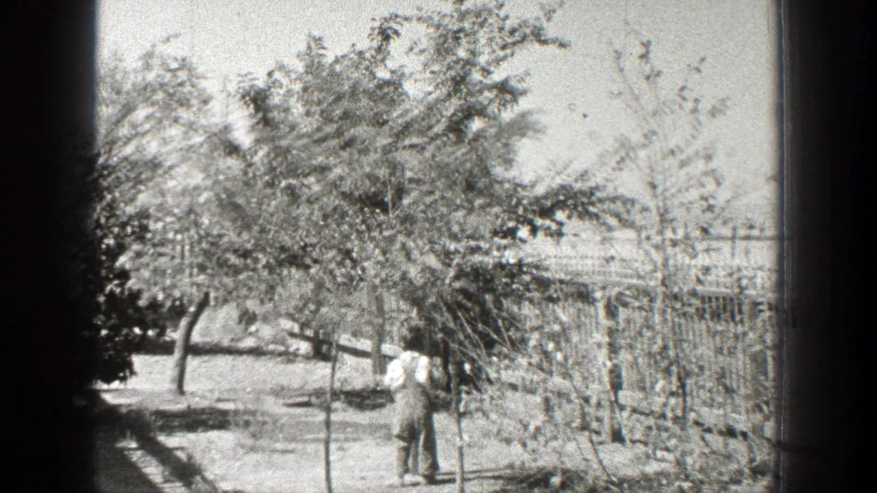 Small figure near a wooden post and trees inside a fenced yard.