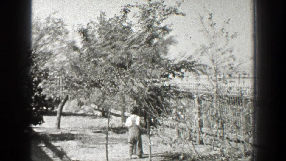 A small figure moves near a post and trees in a California yard recorded on 1936 8mm film.