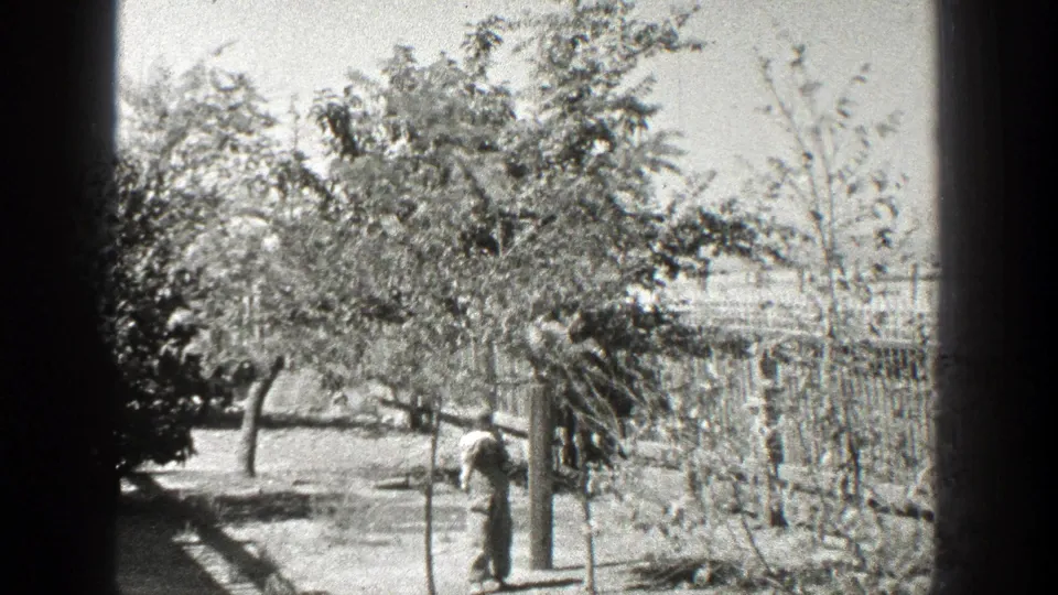 The child-sized figure bends near a post in a leafy fenced yard, with strong sun and 8mm borders visible.