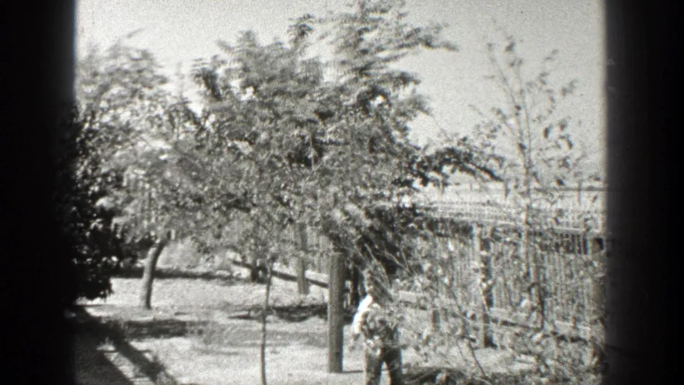A small figure is partly hidden by branches while standing near a post in the 1936 California yard scene.