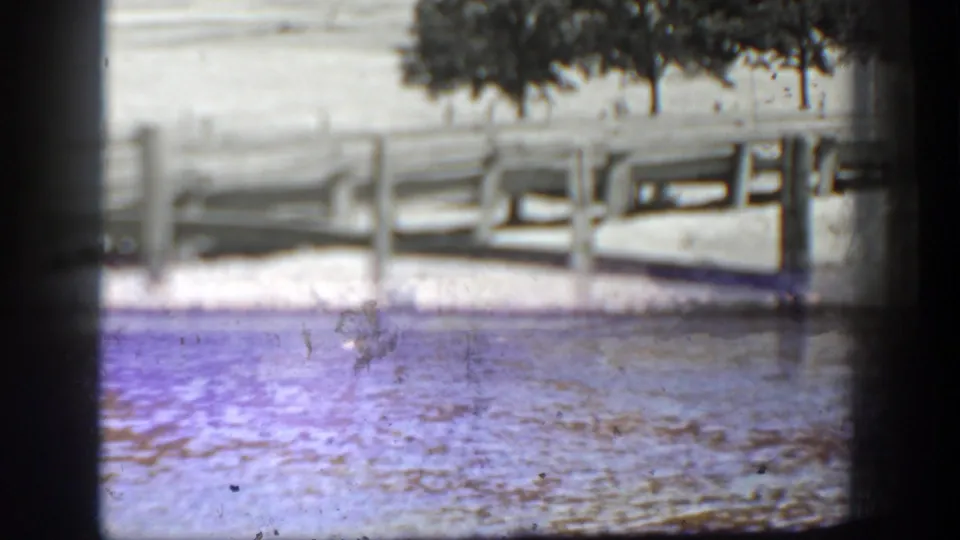 Soft 8mm frame transitioning from the fenced area toward lakeside water, with trees visible beyond.