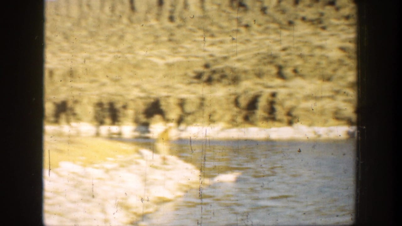 1936 California 8mm frame showing a distant bear-like figure by a lake, with pale banks, trees, and dark window mullions in view.