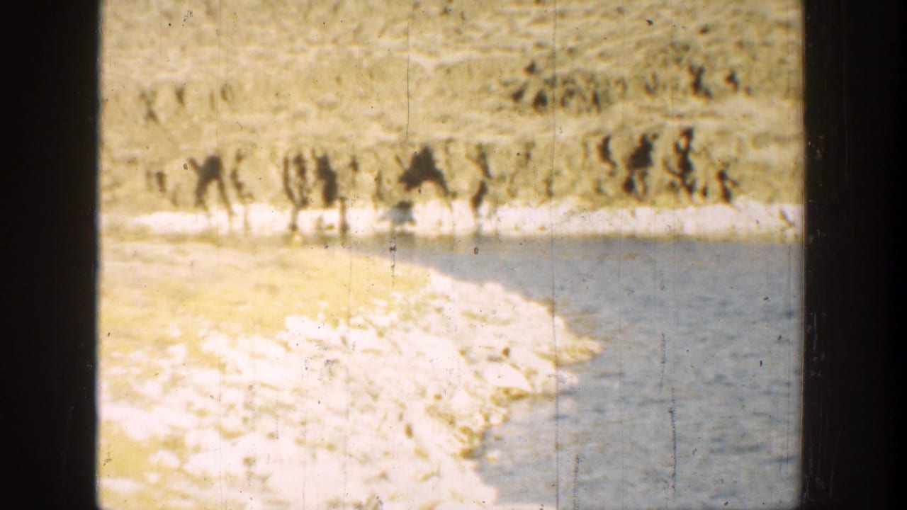 Lake and pale rocky bank with a distant dark animal shape near the far shore.