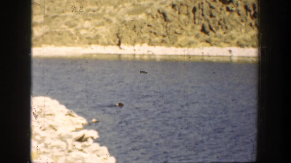 1936 California 8mm frame showing the dark dog in blue river water near pale rocks, with the opposite hillside in the background.