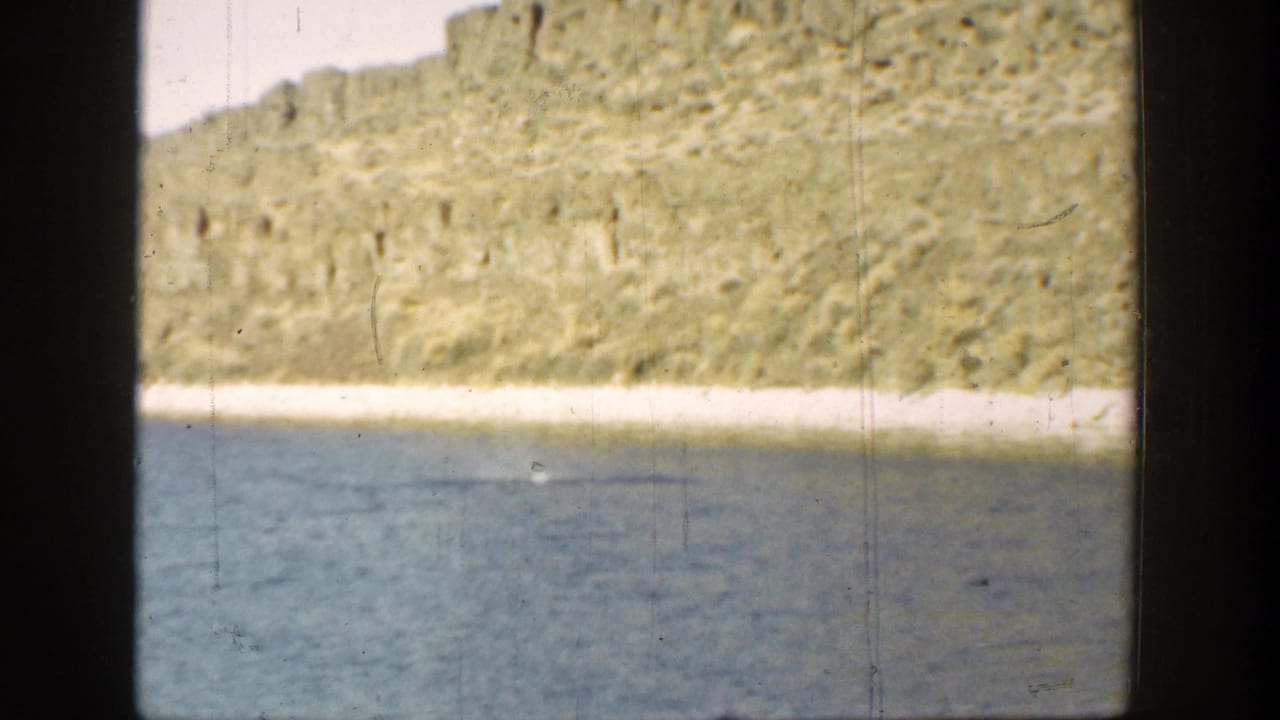 Rocky shoreline and blue water with a faint mark beneath the surface.