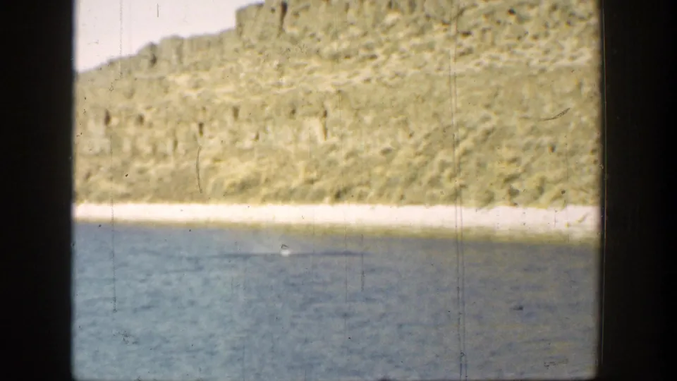 1936 California 8mm view of blue water beside a pale shore and rugged cliff, with a faint possible submerged shape.