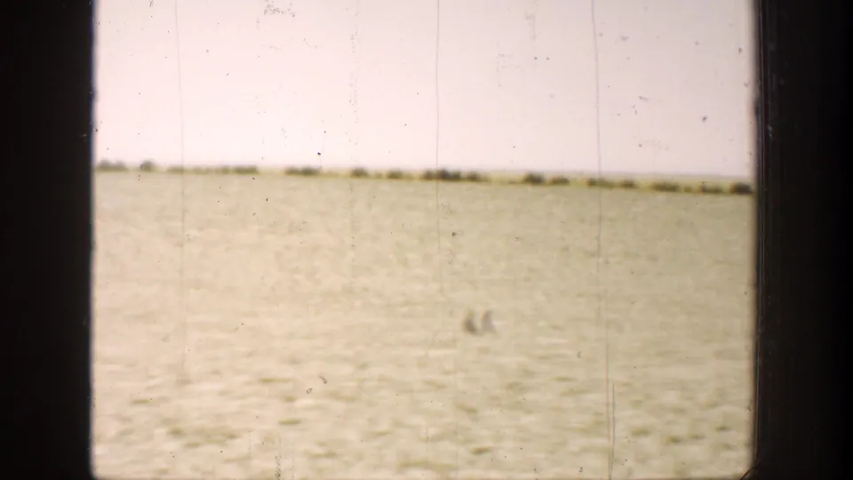 The final frame shows a wide California field with small distant forms on the ground and heavy 8mm wear.