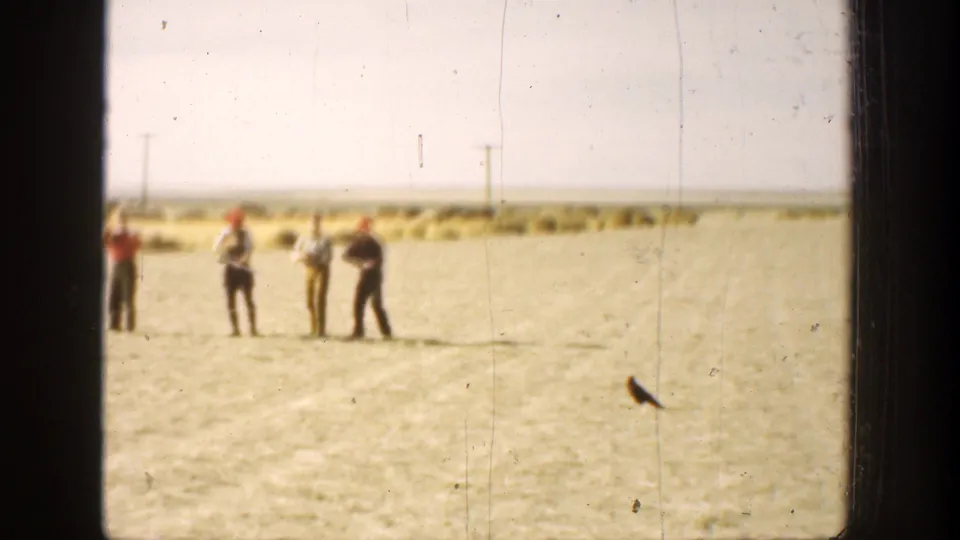 1936 California 8mm frame showing four distant men standing in a sunny field while a dark bird remains in the lower right foreground.