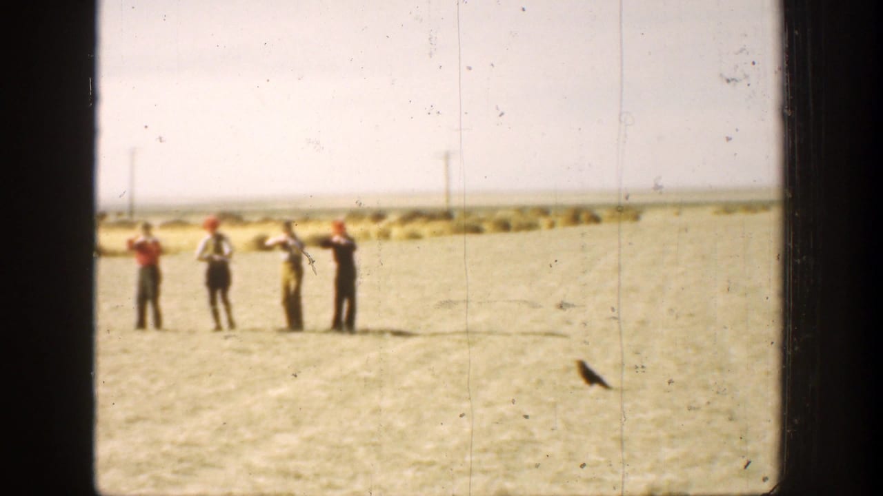 Four men stand in a line in a bright field, with two or more aiming toward the right.