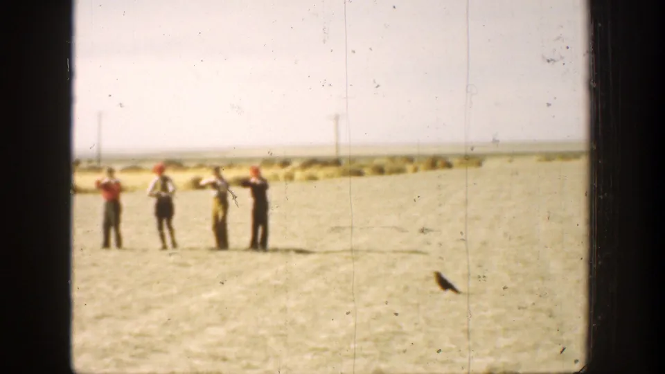 The men remain in the California field, with several figures turned right as if aiming during informal target practice.