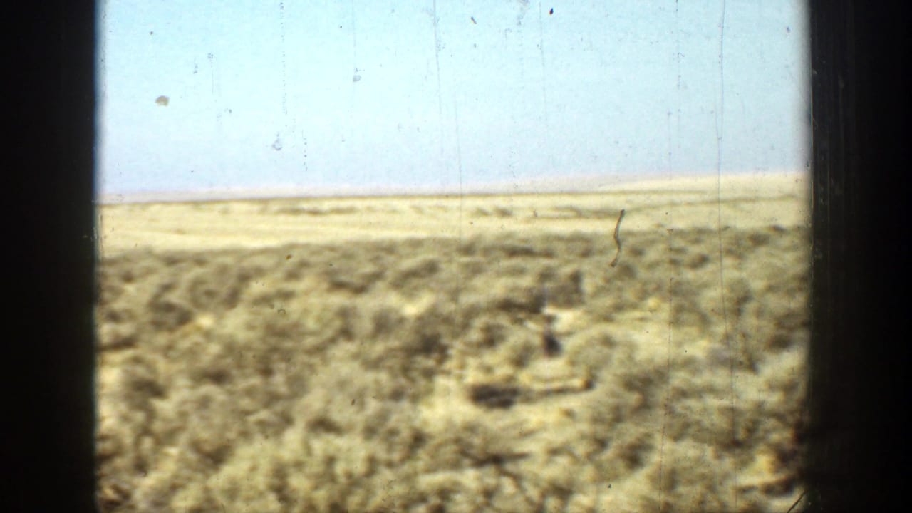 Dry scrubland under a pale sky, framed by dark vertical window edges.