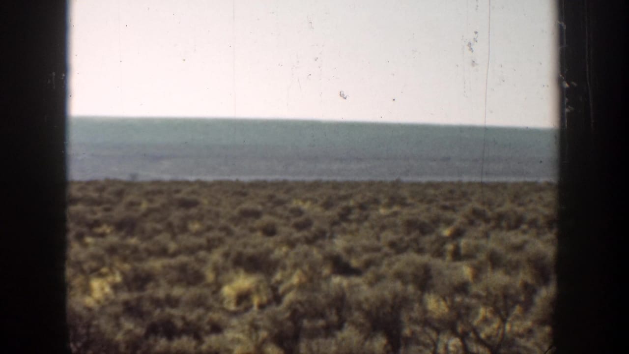 Blurred shrubland and distant water line framed by dark vertical borders.