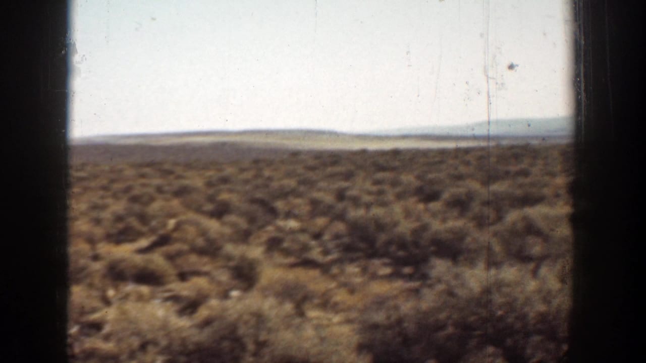 Dry scrubland under a pale sky with dark vertical frame edges.