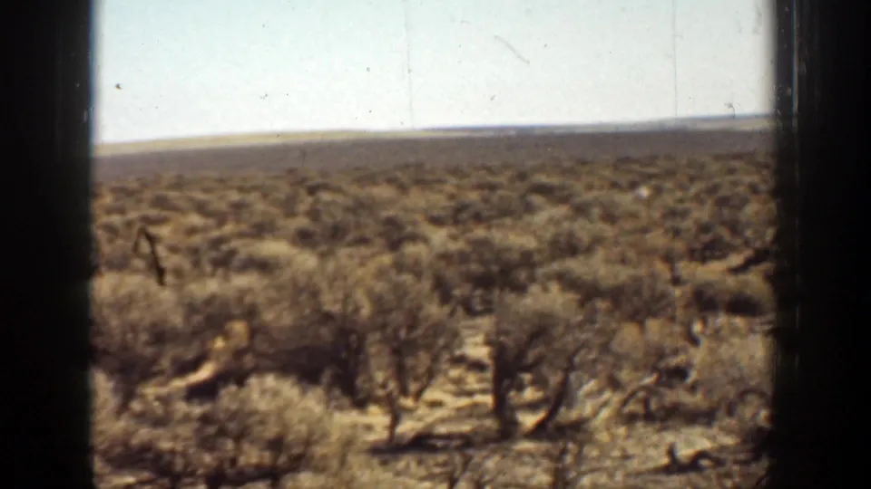 1936 California desert terrain with scattered shrubs, sandy ground, distant horizon, and visible 8mm film wear.