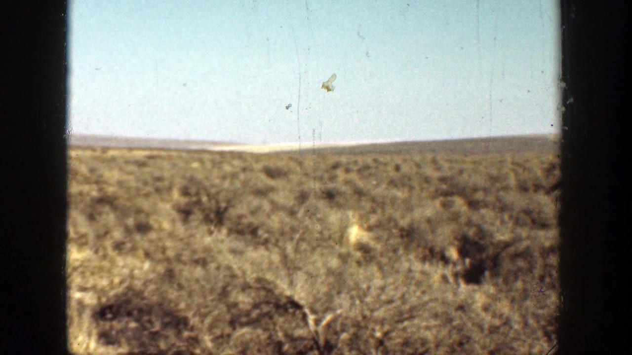 Dry scrubland under pale sky with dark 8mm frame edges.