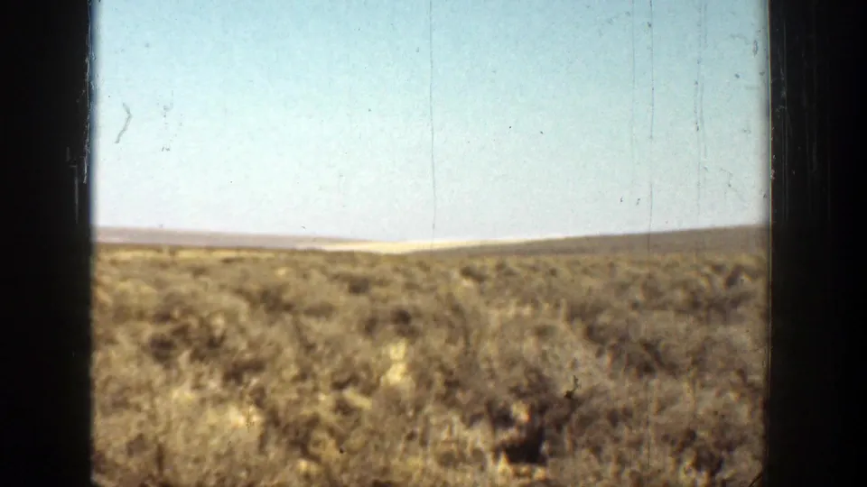 1936 California 8mm view of sparse arid vegetation, a low horizon, pale sky, and dark film-frame edges.