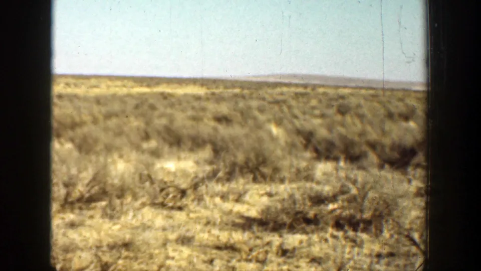 Soft 8mm frame from 1936 California showing dry grasses, scrub, distant low land, and visible film wear.