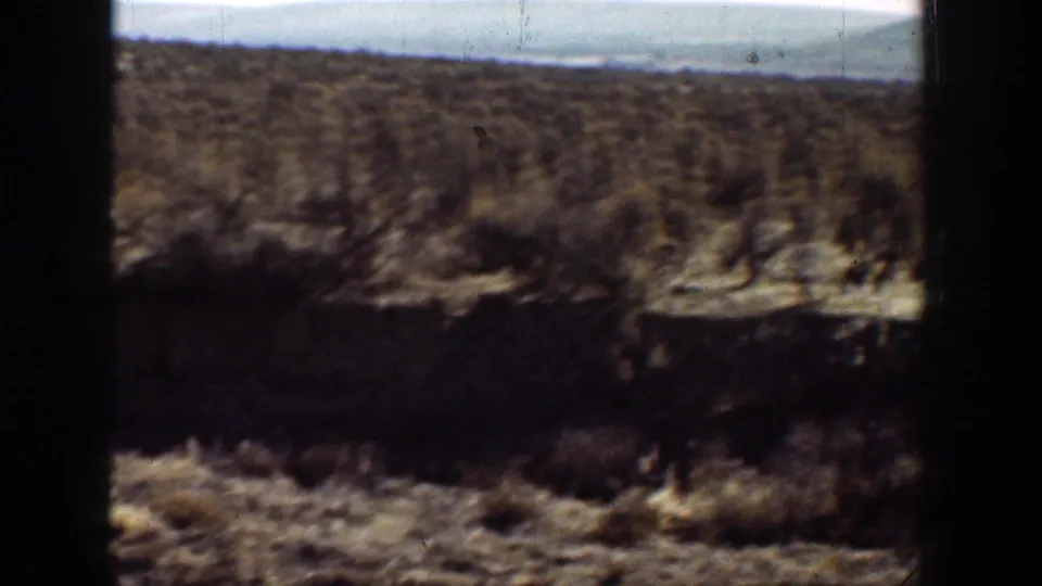 A darker 8mm frame shows scrubby California desert terrain with a shadowed foreground and pale open distance.