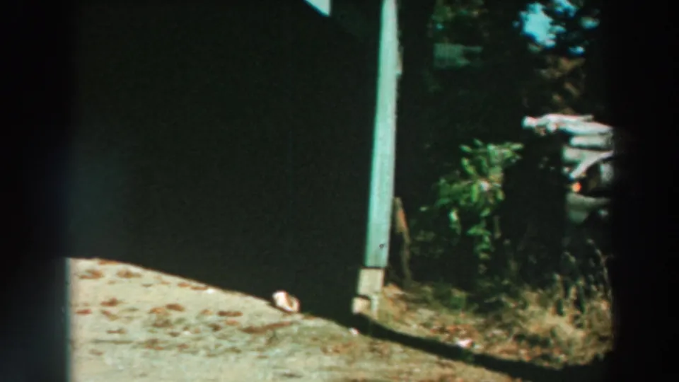 The camera shifts across the carport and gravel area toward surrounding greenery at the Lake Winnebago property.