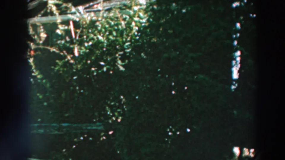 A darker 8mm frame shows dense shrubs, fence material, and parts of a residential garden near Lake Winnebago.