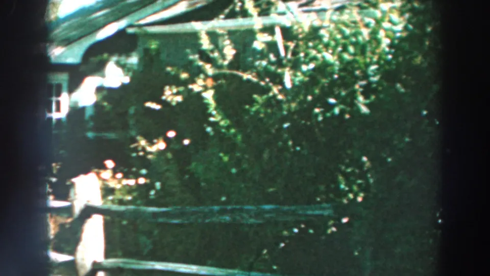 The final frame shows a leafy residential garden, fence line, and partial house exterior in 1964 Lake Winnebago footage.