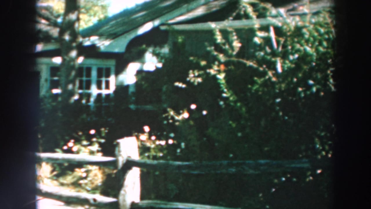 Yellow house partly hidden by trees and a split-rail fence.