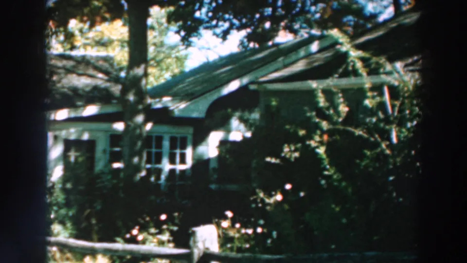 Yellow house exterior near Lake Winnebago, with white windows, a shaded roofline, trees, and dense garden foliage.