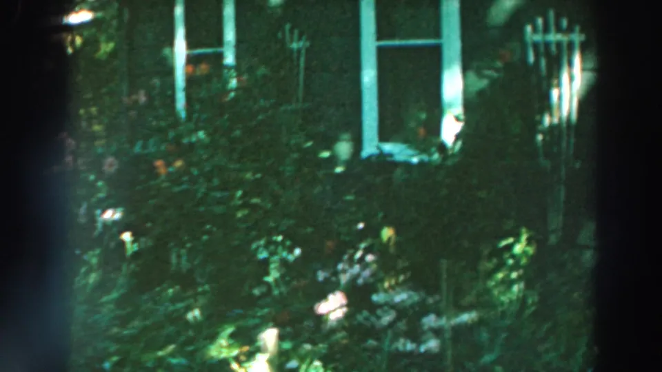 1964 Lake Winnebago frame showing dense garden foliage, flowers, tall white-trimmed windows, and shaded house siding.