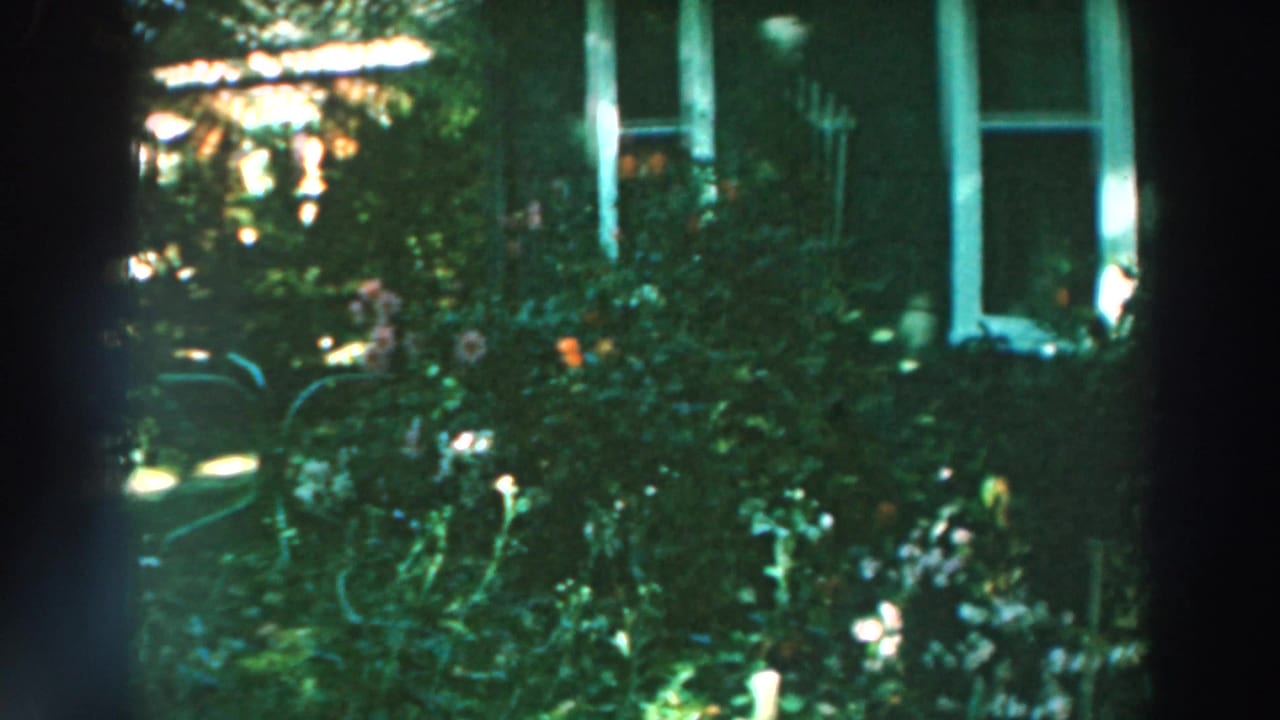 1964 Lake Winnebago home-movie frame showing a shaded backyard garden with flowers, trees, and a house window partly obscured by foliage.