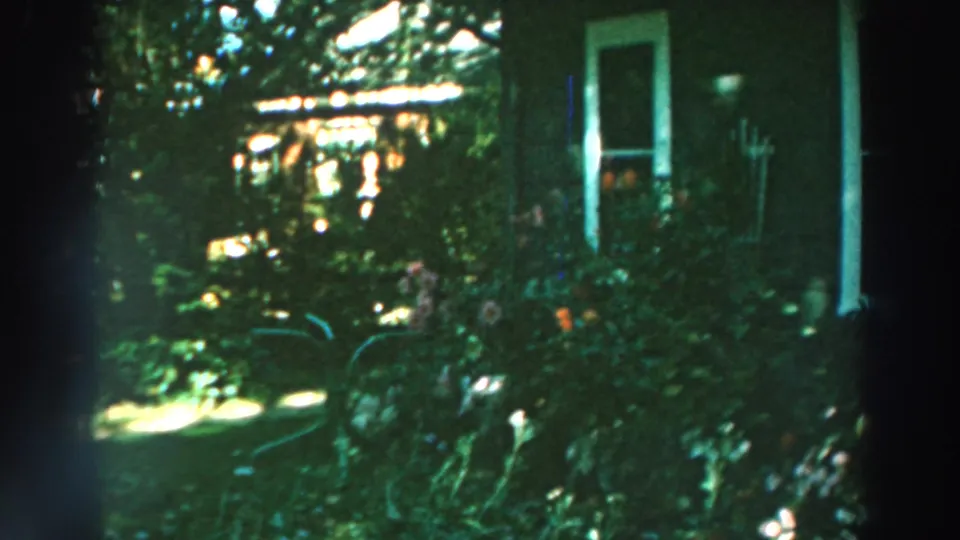 1964 Lake Winnebago backyard view with dense greenery, small flowers, house trim, and a bright window area in soft 8mm color.