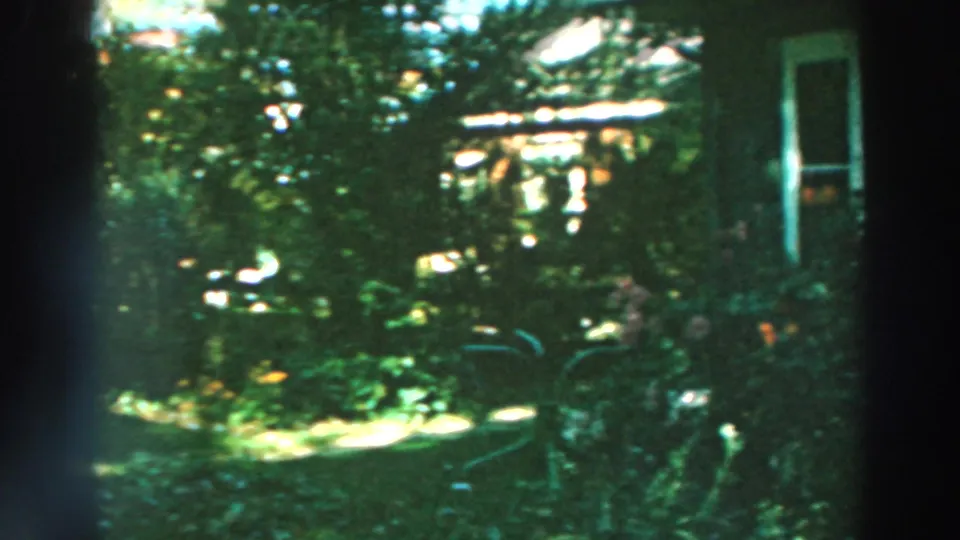 1964 Wisconsin home-movie frame showing a shadowed backyard garden with flowering plants, trees, and part of a residential exterior.
