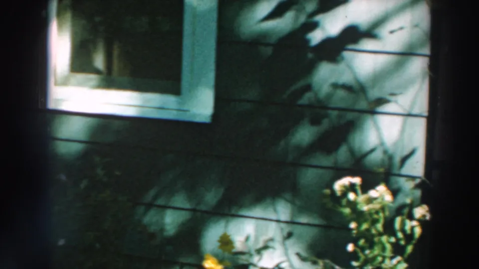 1964 lakeside Wisconsin house exterior with wood siding, white window trim, and leafy shadows across the wall.