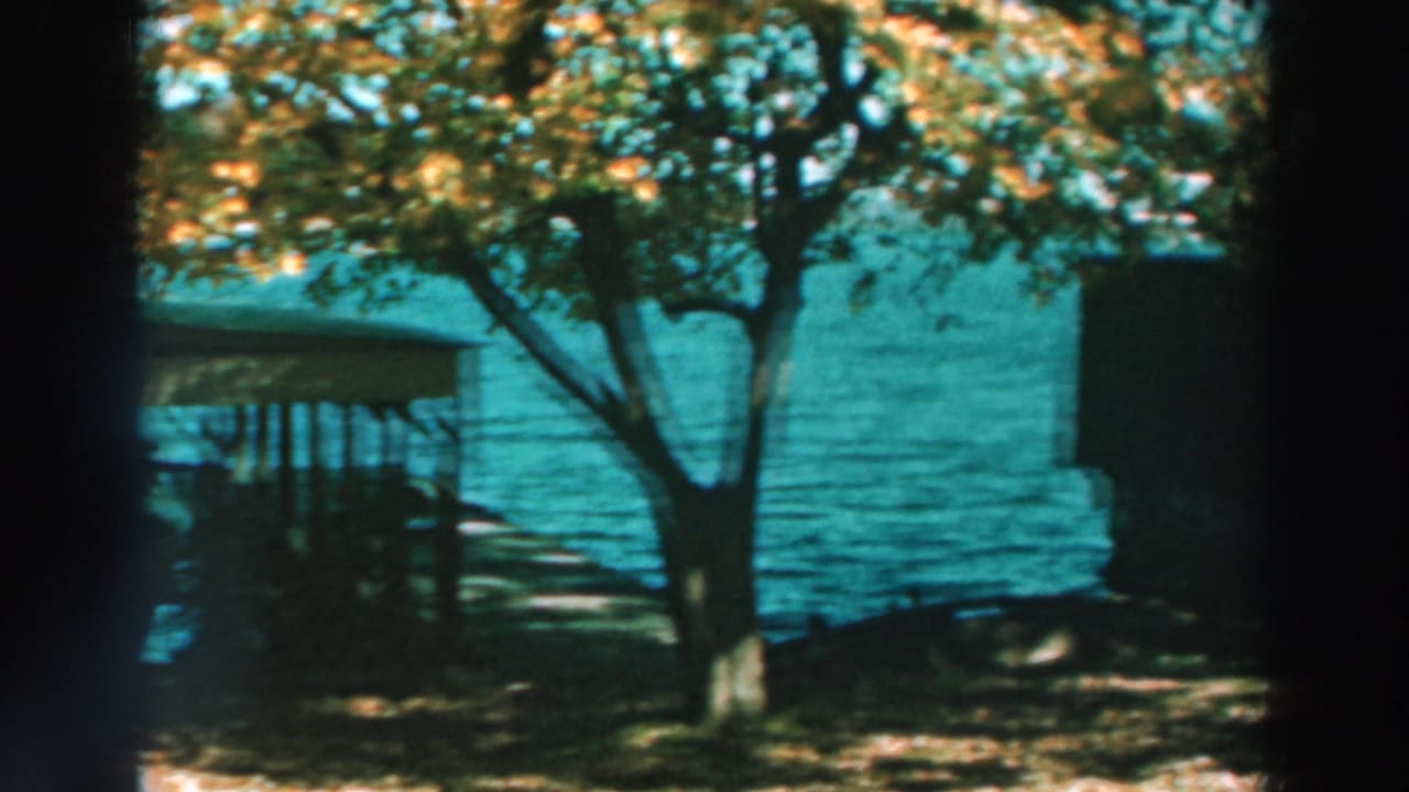 Tree and covered dock at the edge of rippled lake water.