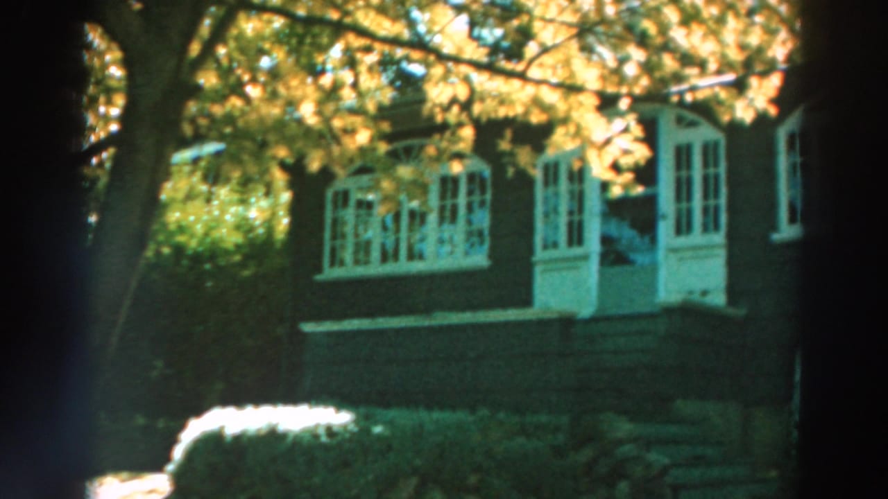 Dark-sided house with white-trimmed windows seen through autumn trees.