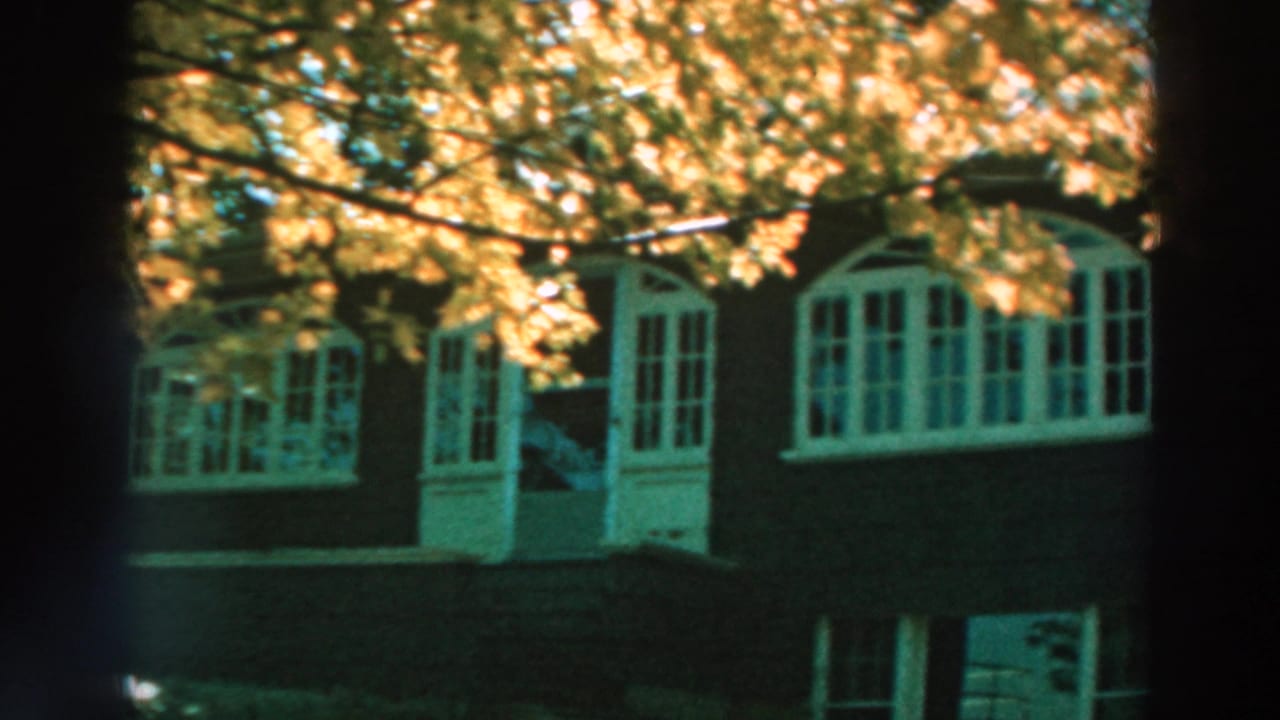 House facade with white doors and windows beneath sunlit leaves.