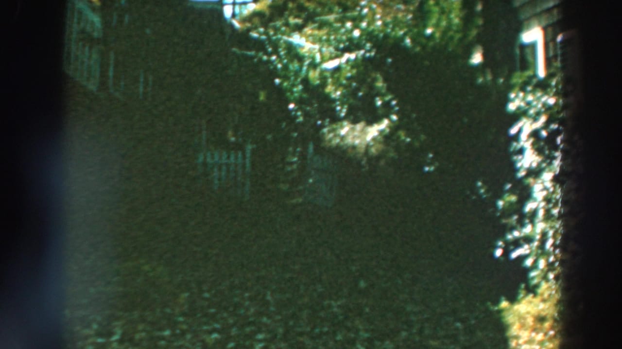 Lake Winnebago residential yard with mature trees, white fencing, and a brick house partly hidden in shade.