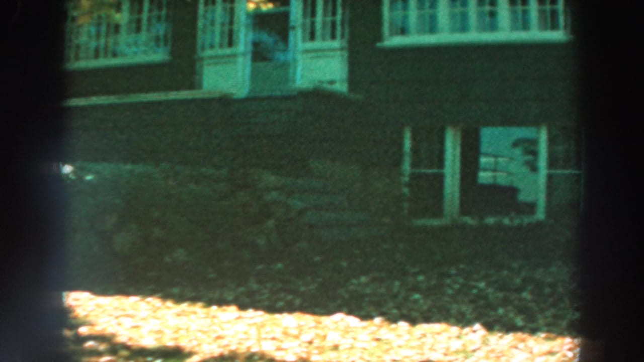 Dark lakeside building facade with windows, shrubs, and sunlit fallen leaves in the foreground.