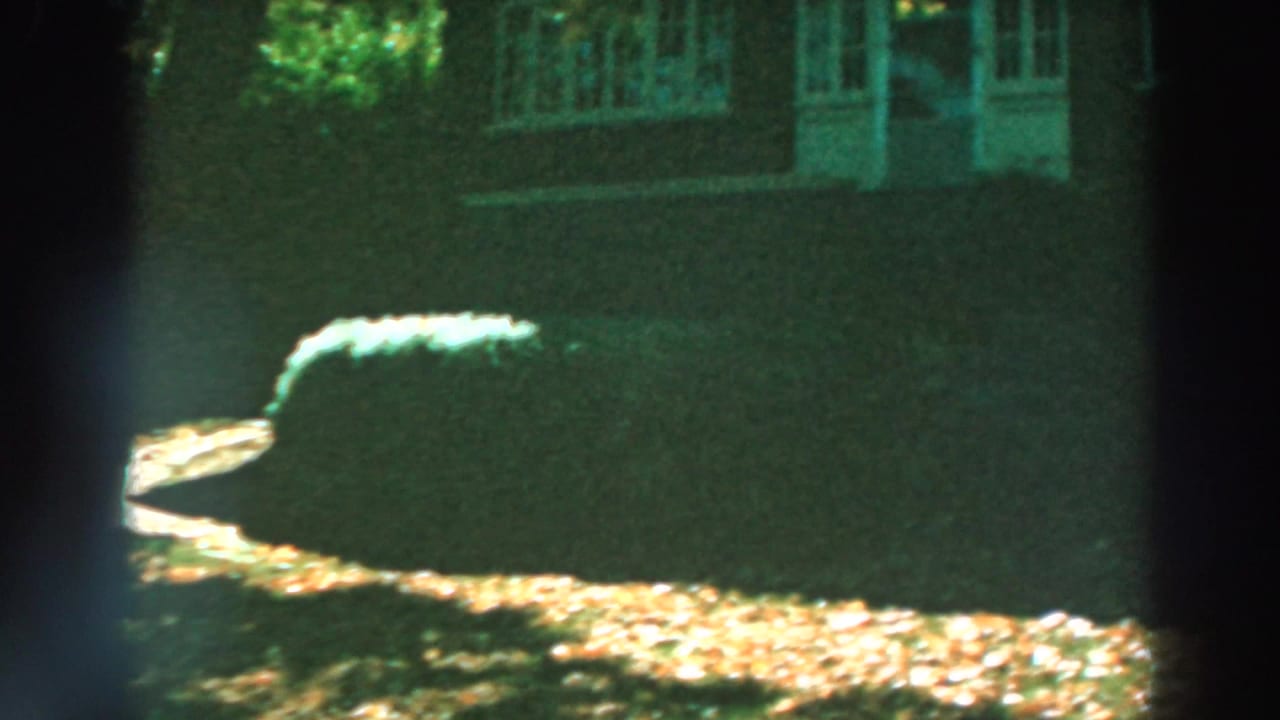 1964 Lake Winnebago home-movie frame with a trimmed shrub, shaded wall, upper windows, and a bright strip of leaf-covered ground.
