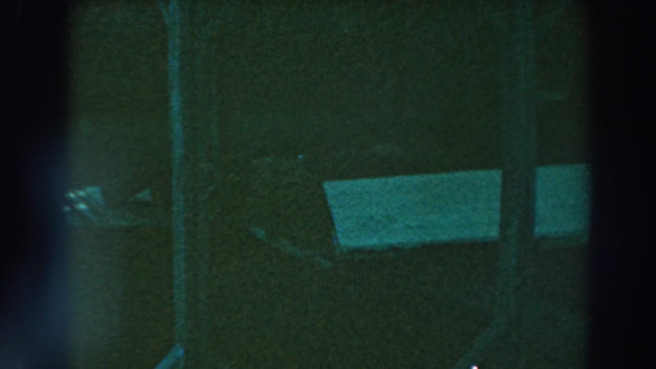 Dark underside of a wooden pier with part of a white boat visible in shadow.