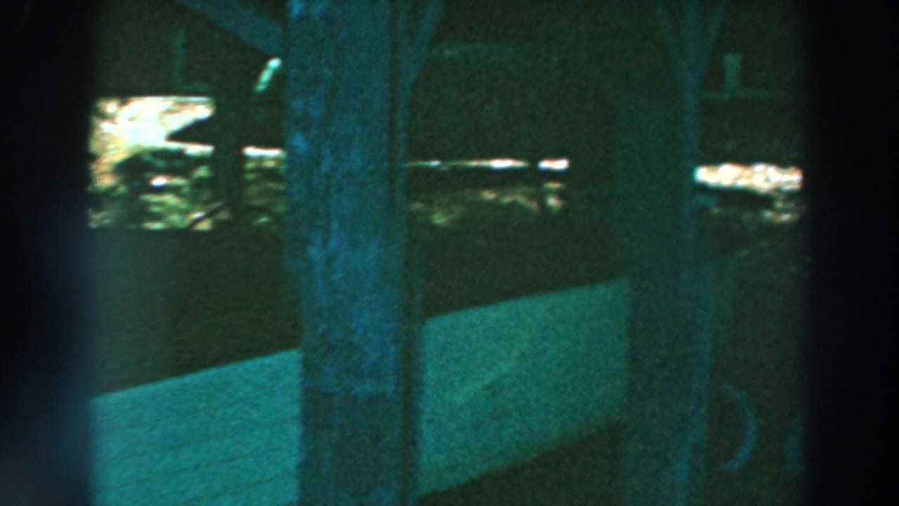 Dark window-framed view of lake water, a dock edge, and tree trunks.