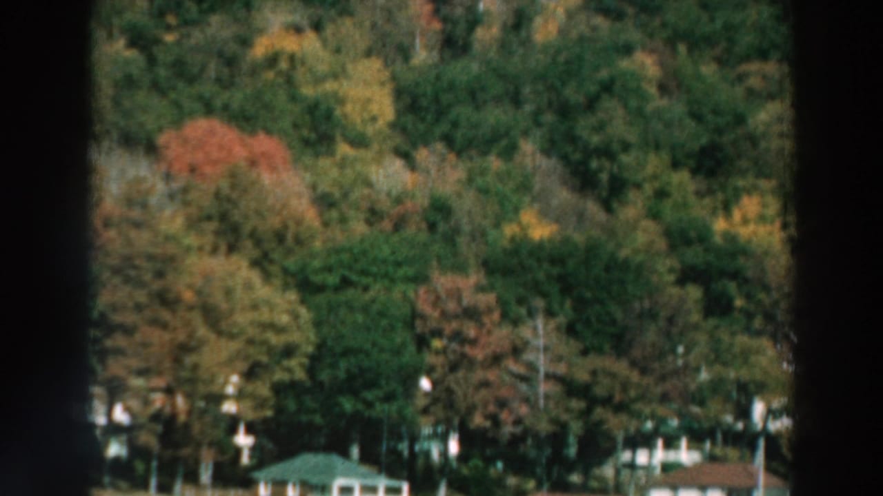 1964 Lake Winnebago view of a tree-covered hillside with fall colors and distant homes near the shoreline.