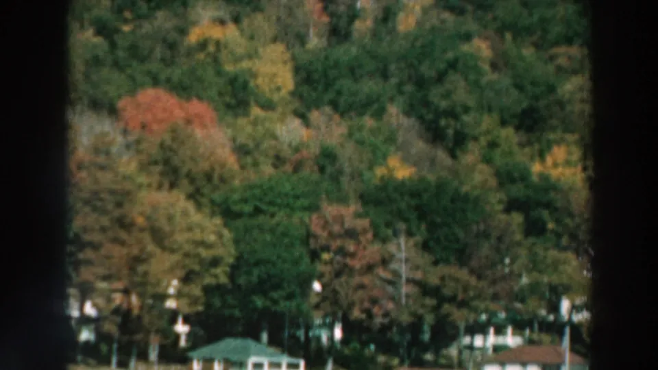 1964 Lake Winnebago view of a tree-covered hillside with fall colors and distant homes near the shoreline.