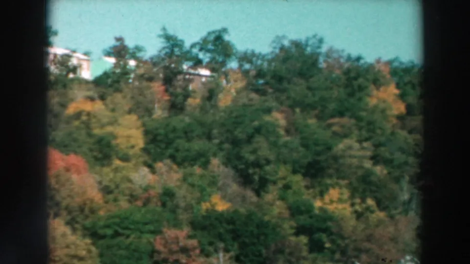 Distant homes appear above dense autumn trees along the Lake Winnebago shore in 1964 home-movie footage.