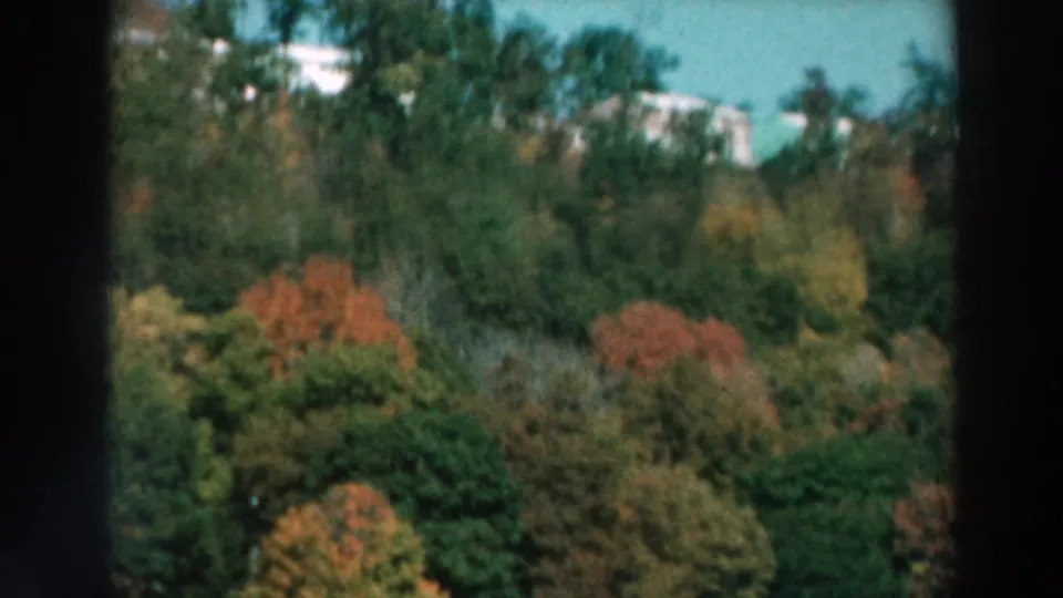 Lake Winnebago shoreline view with fall-colored trees and partial homes or small structures visible through the foliage.
