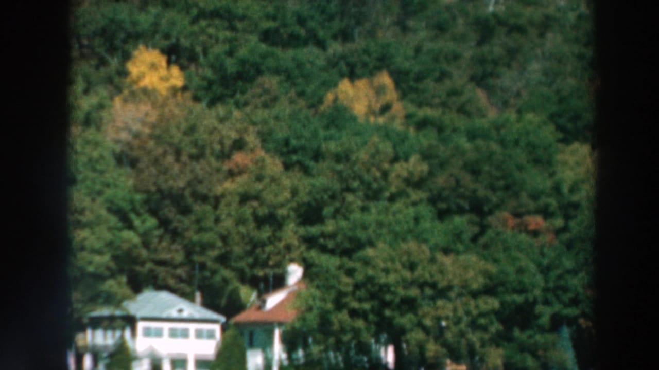A pale lakeside house and red-roofed building sit among dense green trees.