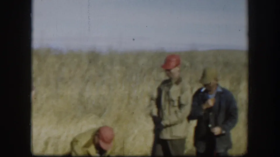 Kansas 1958 home-movie frame showing hunters in dry grass, one bending near the ground while others stand with shotguns.