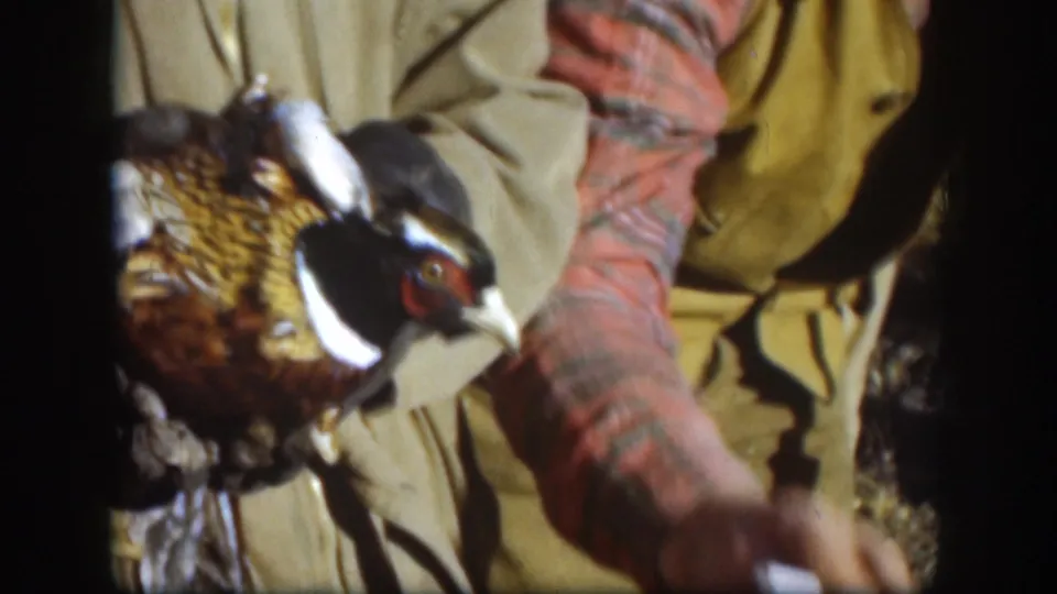 1958 Kansas home-movie frame showing a pheasant held in front of men in rural outdoor clothing.
