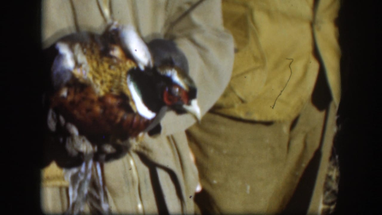 Hunter holding a pheasant in a dry field, cropped at torso level.